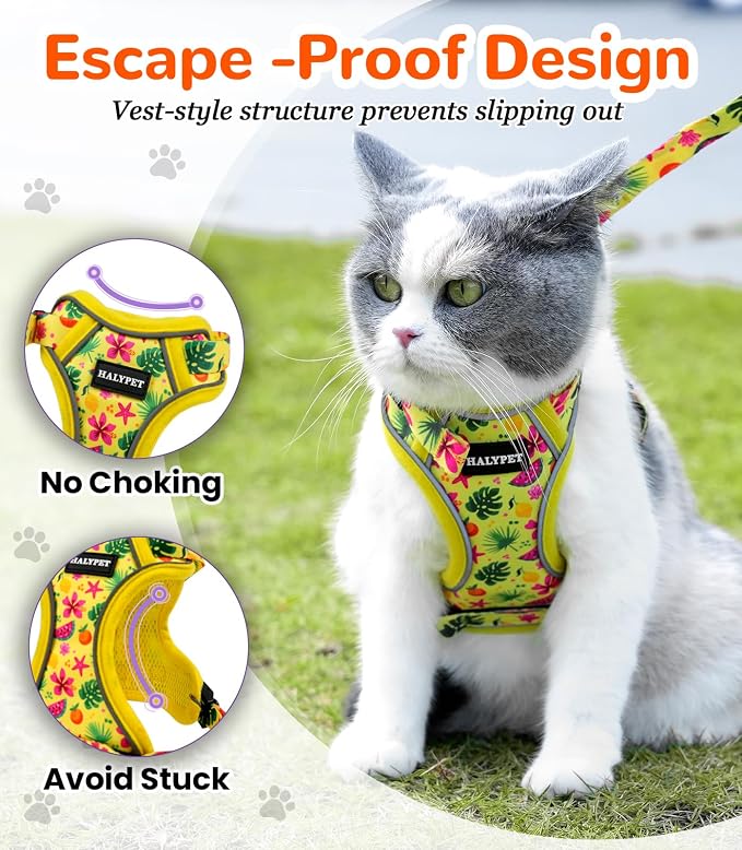 Halypet Cat Harness and Leash Set - Image 2