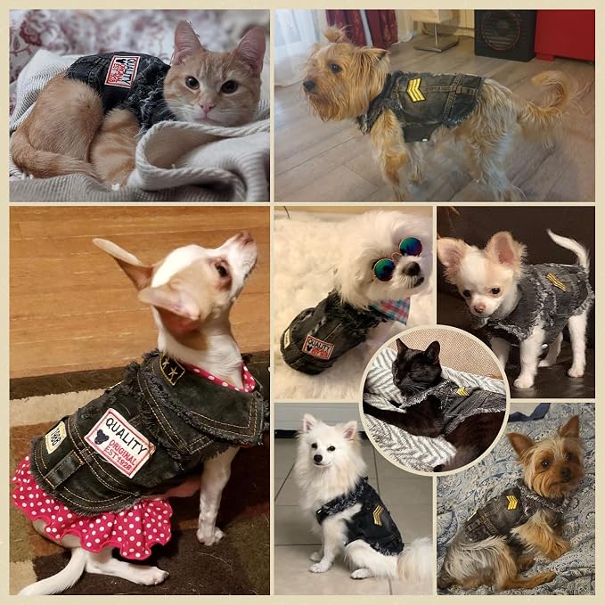 Cool Dog Jean Jacket Small Puppy Outfits Frenchie Clothes Denim Coats - Image 6