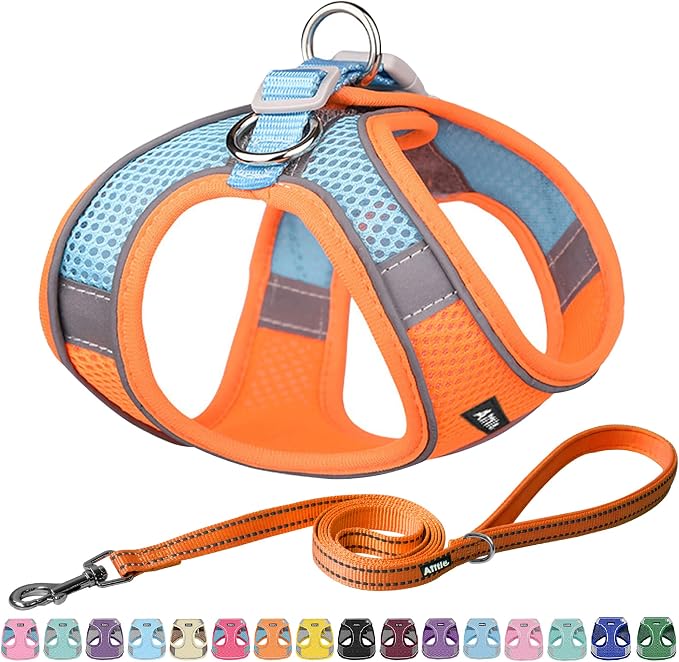 AIITLE Escape Proof Dog Harness by AIITLE-FORPETSBETTERLIFE