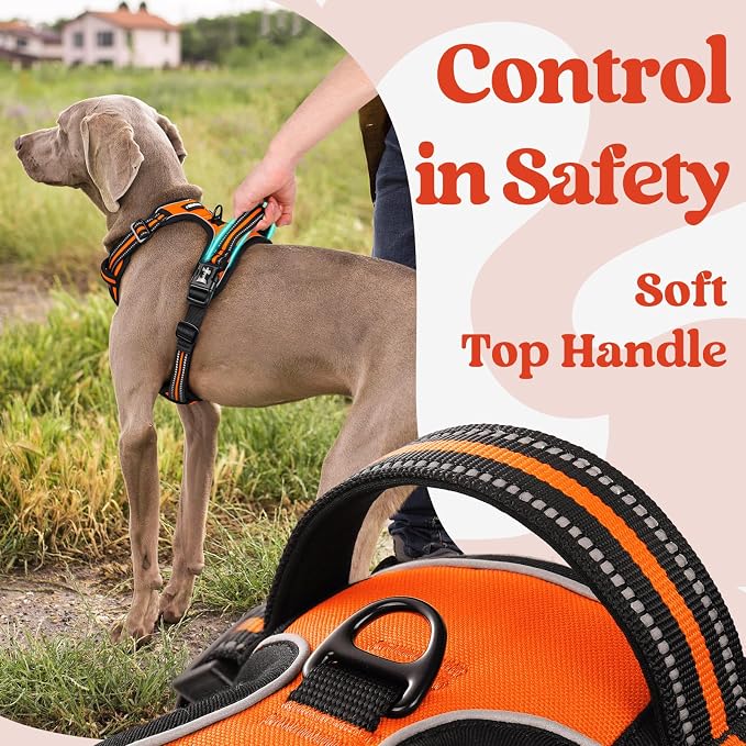 rabbitgoo Dog Harness Small Sized, No Pull Pet Harness - Image 5