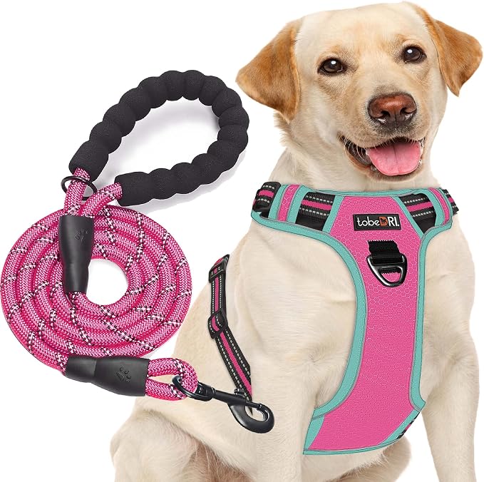 No Pull Dog Harness Adjustable Reflective Oxford Easy Control Medium Large Dog by tobeDRI
