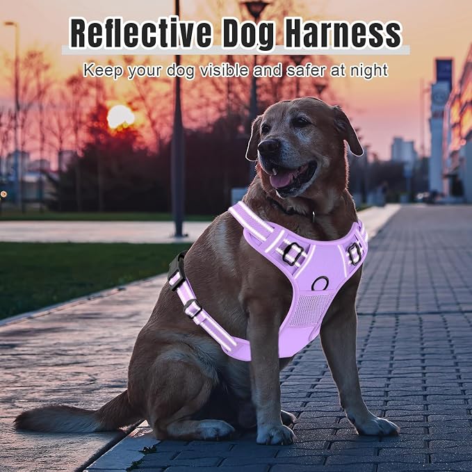 Rnivvi No Pull Dog Harness, Cute Reflective Medium Sized Puppy Kitten Harness - Image 6