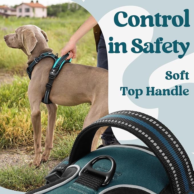 rabbitgoo Dog Harness for Large, No Pull Pet Harness - Image 4