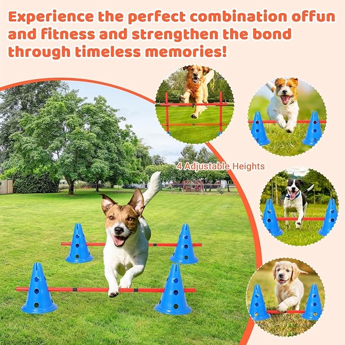 Dog Agile Course Backyard Set, Complete Dog Obstacle Kit - Image 3