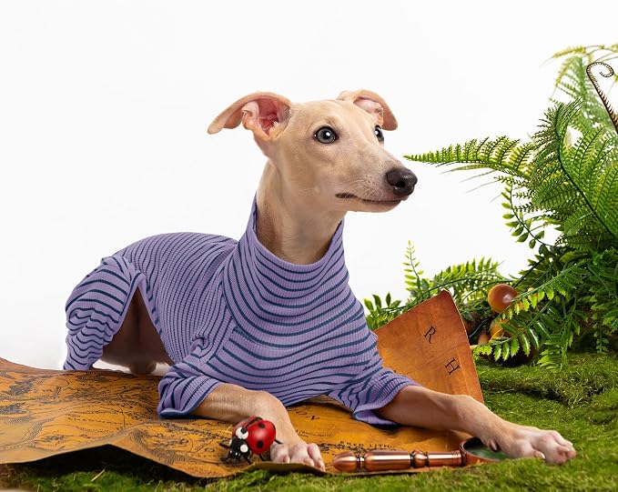 Dog Sweaters for Small Dogs Girls Boys, Striped Pet Sweaters for Fall Winter - Image 5