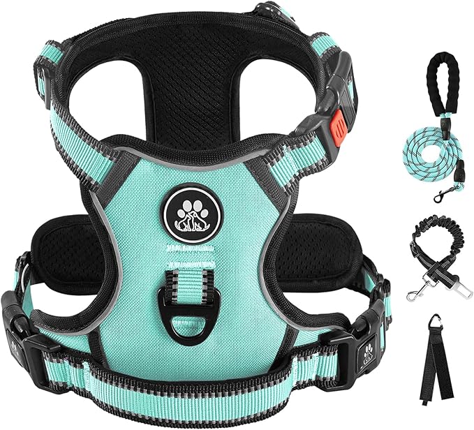 IVY&LANE No Pull Dog Harness by IVYLANE