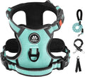 IVY&LANE No Pull Dog Harness by IVYLANE