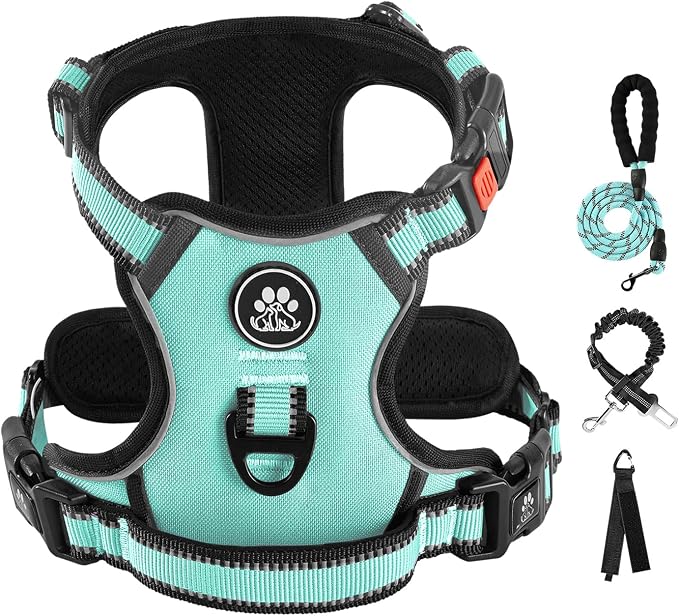 IVY&LANE No Pull Dog Harness by IVYLANE