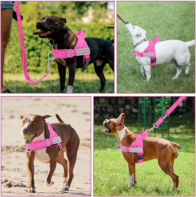 SlowTon No Pull Dog Harness - Image 8