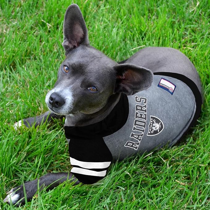 Pets First NFL Oakland Raiders Hoodie - Image 2