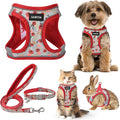 GAMUDA Small Dog Harness Collar and Leash Set, Step in No Chock No Pull Soft by GAMUDACollarsCollection
