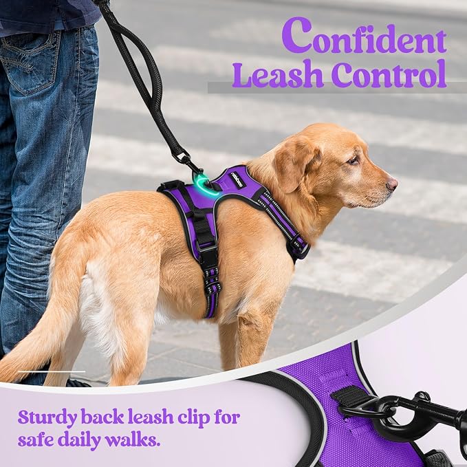 rabbitgoo Dog Harness No Pull - Image 6