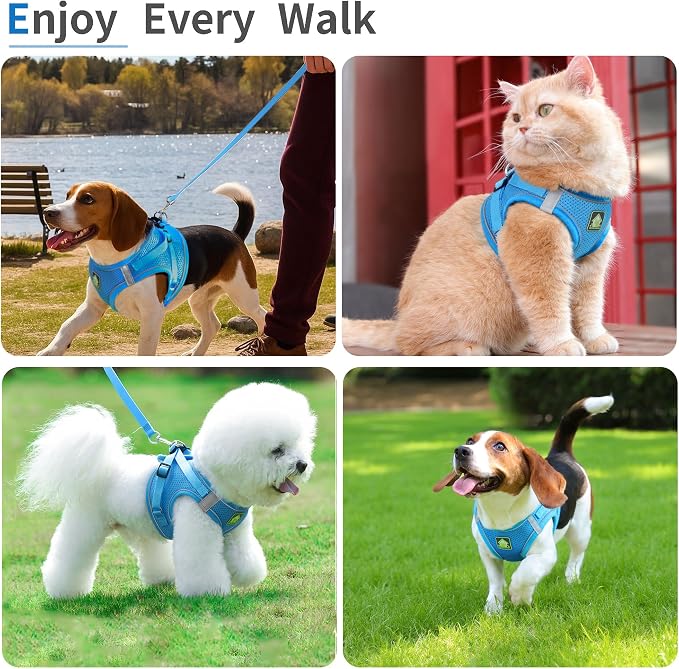 Step in Dog Harness with Leash Set, Adjustable Soft Padded and Breathable Mesh - Image 6