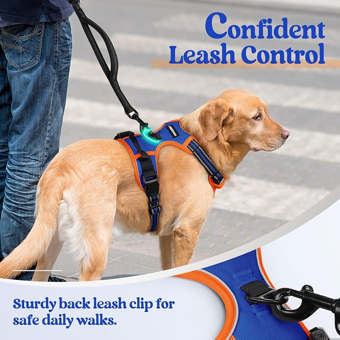 rabbitgoo Dog Harness No Pull - Image 6