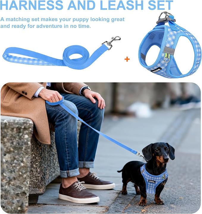 AIITLE Easy Walk Dog Vest Harness and Leash Set, Pet Supply No Pull, Breathable - Image 4