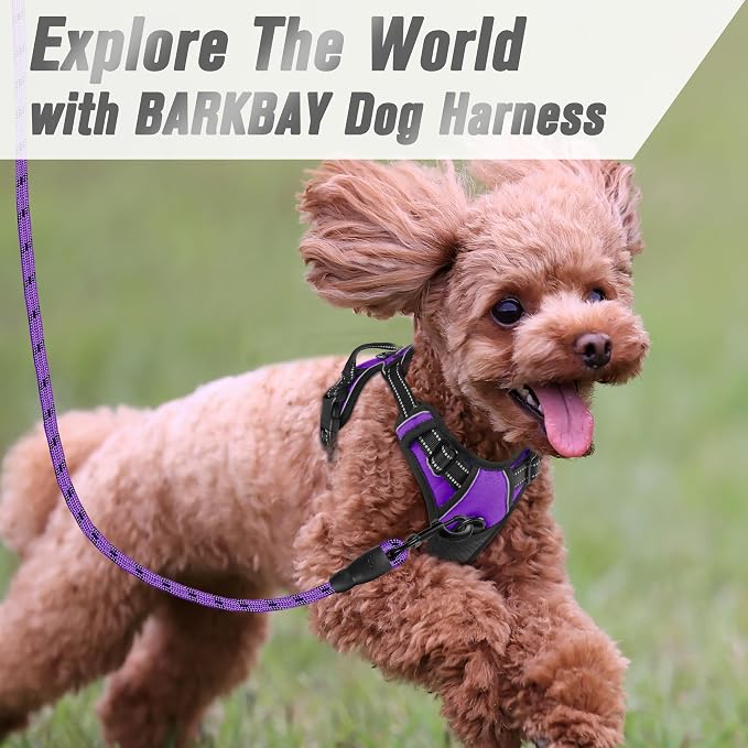 BARKBAY No Pull Dog Harness Front Clip Heavy Duty Reflective Easy Control Handle - Image 8