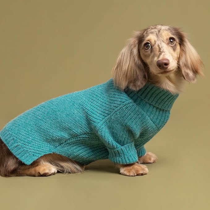 Fitwarm Medium Turtleneck Dog Knitted Sweater, Teal Blue Thermal Winter Dog - Image 4