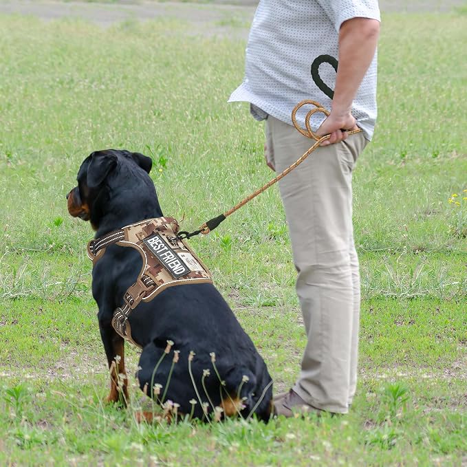 Heavy Duty Tactical Dog Harness - Image 3