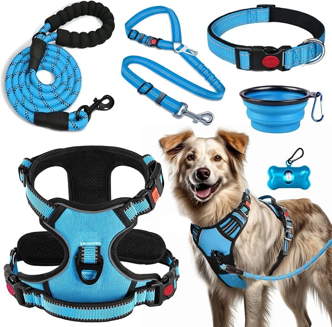 No Pull Dog Harness, Collar & Leash Set | Includes Dog Seat Belt, Collapsible by Lovebegetslove