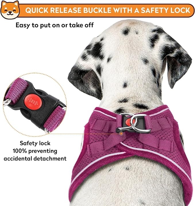 Dog Harness with Leash Set, No-Pull Step-in Reflective Pet Harness with 1 Leash - Image 3