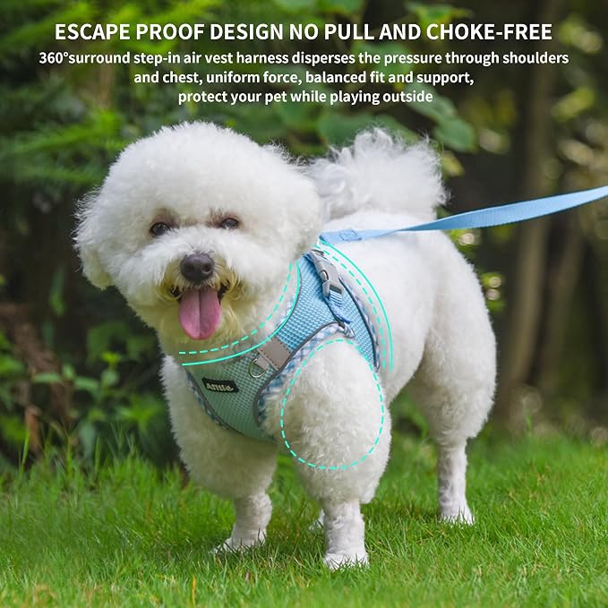 AIITLE Dog Harness and Leash Set - Image 5
