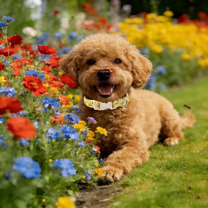 Lionet Paws Spring Dog Collar- Cute Bees Yellow Dogs Collar - Image 3