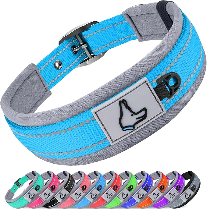 Joytale Dog Collar for Medium Dogs, Neoprene Padded and Adjustable, Reflective by Joytale