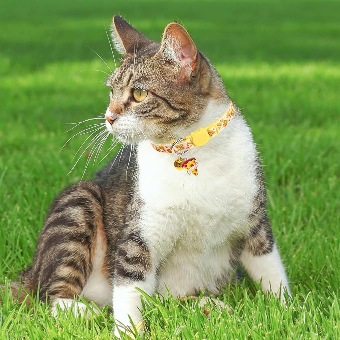 BINGPET Christmas Breakaway Cat Collar - Image 2