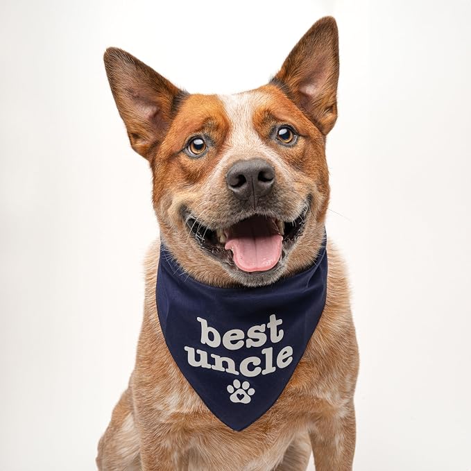 Best Uncle Father's Day, Valentine's Day, Birthday Dog Bandana - Image 2