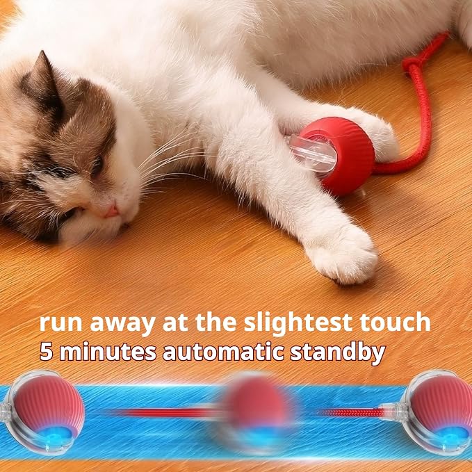 New 3Pack Automatic Rolling Cat Ball Toys - Image 3