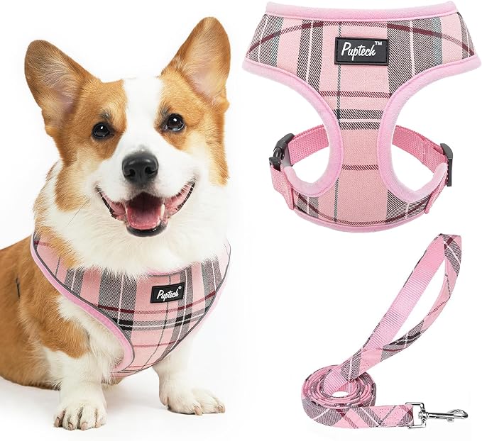 PUPTECK Soft Mesh Dog Harness and Leash Set Pet Puppy Cat Comfort Padded Vest by PUPTECK