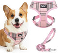 PUPTECK Soft Mesh Dog Harness and Leash Set Pet Puppy Cat Comfort Padded Vest by PUPTECK