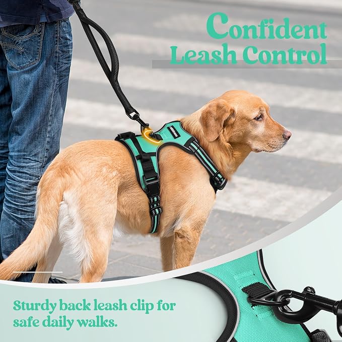 rabbitgoo Dog Harness No Pull - Image 6