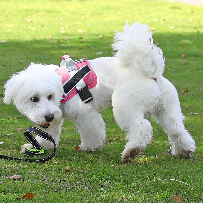 Bolux Dog Harness, No-Pull Reflective Dog Vest, Breathable Adjustable Pet - Image 5