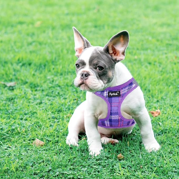 PUPTECK Dog Harness and Leash Set - Image 6