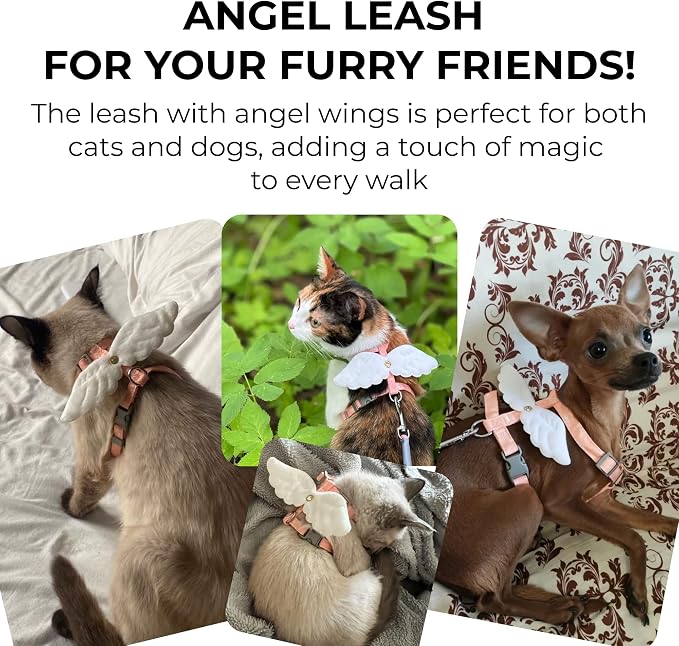 Angel Wings Pet Harness and Leash Set - Image 7