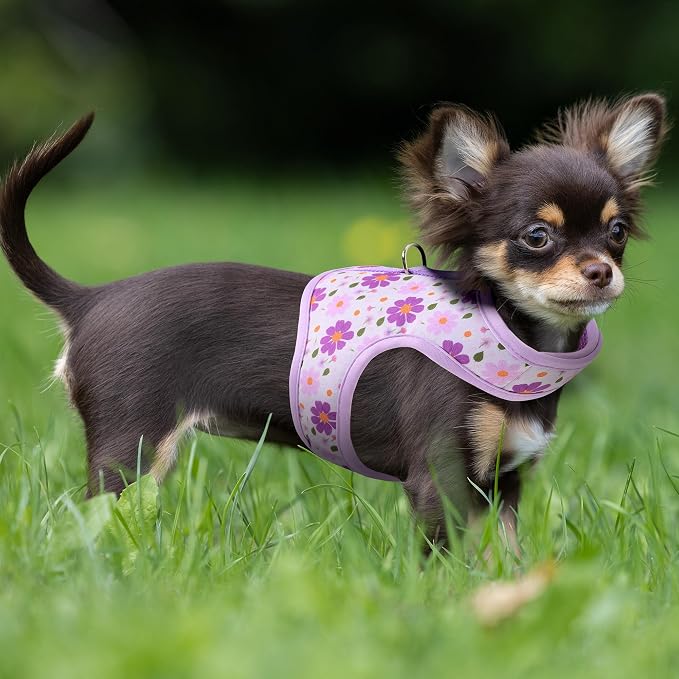 Mile High Life Dog Harness, Air Mesh Floral Vest Harness - Image 8