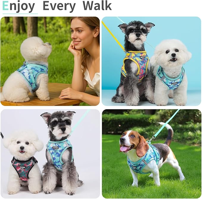 Step in Dog Harness with Leash Set, Adjustable Soft Padded and Breathable Mesh - Image 6