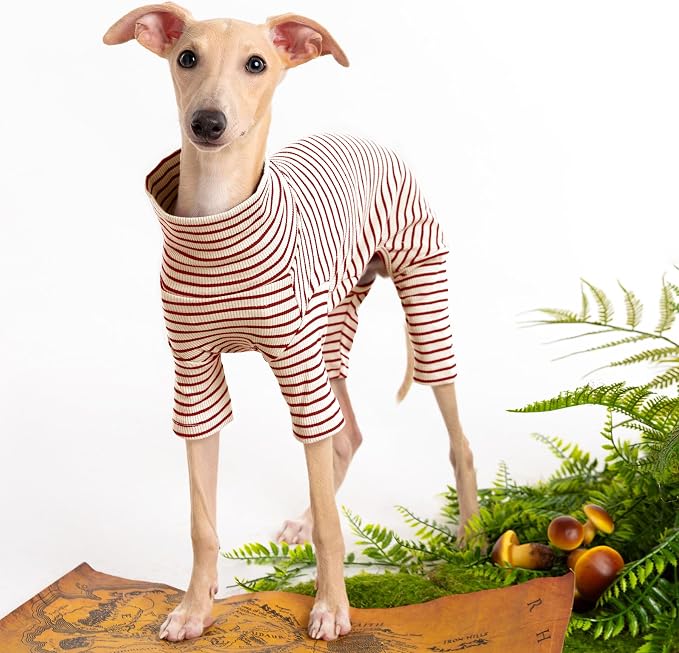 Dog Sweaters for Small Dogs Girls Boys, Striped Pet Sweaters for Fall Winter - Image 2