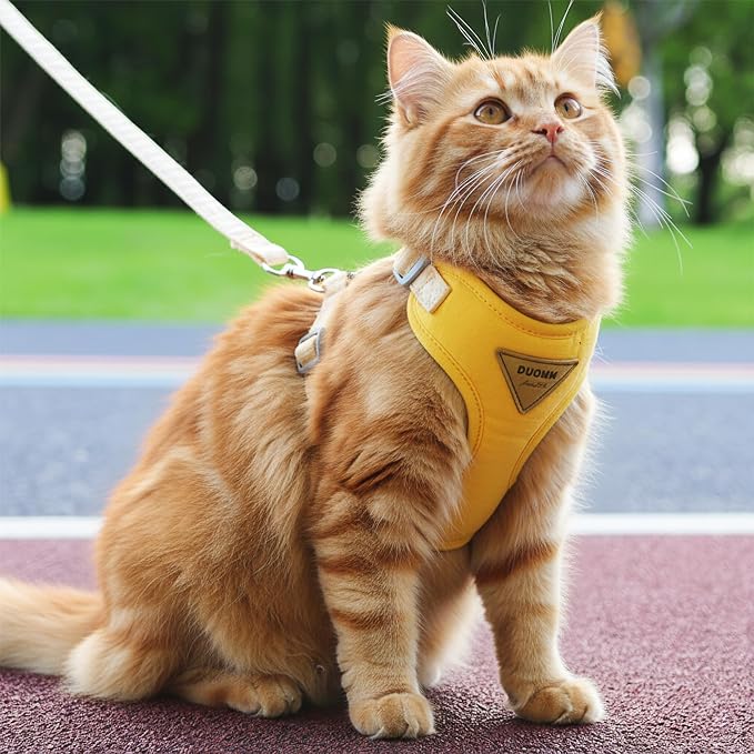 Escape-Proof Cat Harness and Leash Set - Image 3