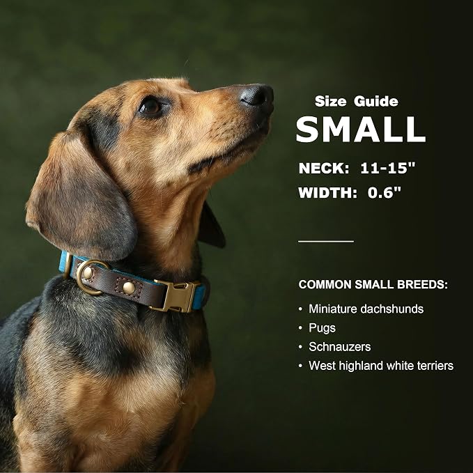 Didog Soft PU Leather Dog Collars - Image 3