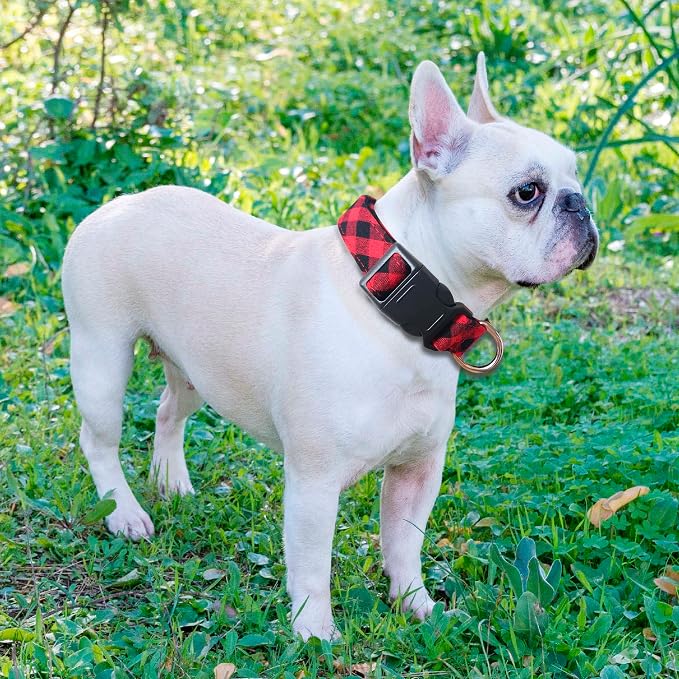 Reflective Dog Collar Padded - Image 6