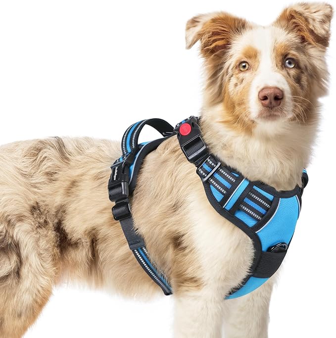 rabbitgoo Dog Harness Medium Sized, No Pull Pet Harness by rabbitgoo