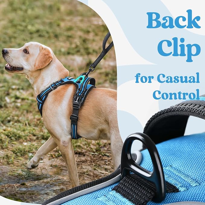 rabbitgoo Dog Harness Medium Sized, No Pull Pet Harness - Image 6