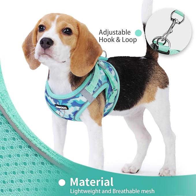 Step in Dog Harness with Leash Set, Adjustable Soft Padded and Breathable Mesh - Image 4