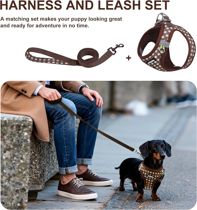 AIITLE Easy Walk Dog Vest Harness and Leash Set, Pet Supply No Pull, Breathable - Image 8