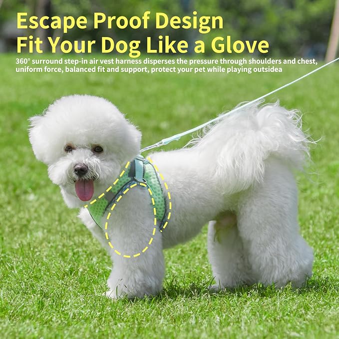 Summer Pet Supply No Pull, Step in Adjustable Dog Harness - Image 6