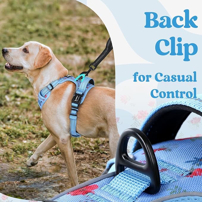 rabbitgoo Dog Harness Small Sized, No Pull Pet Harness - Image 6
