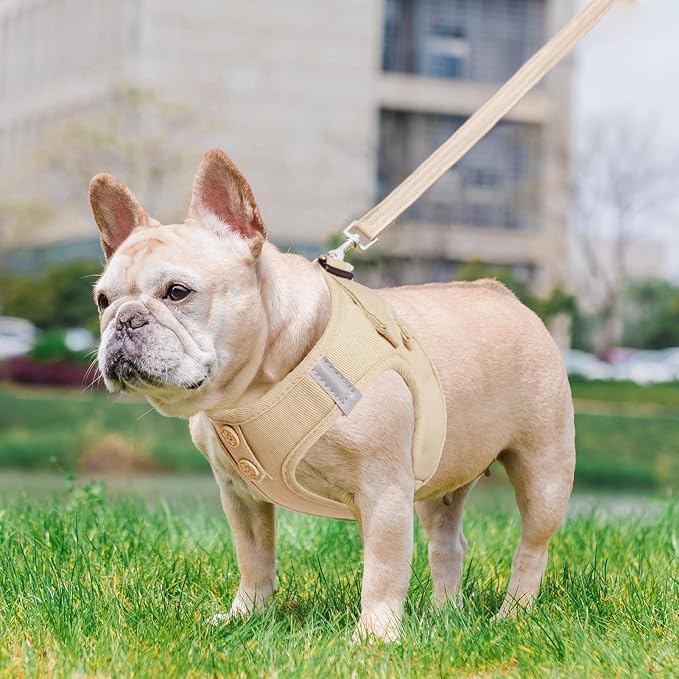 PUPTECK Dog Harness and Leash Set - Image 7