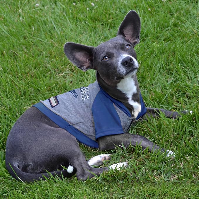 MLB Hoodie Shirt for Dogs & Cats - Image 4